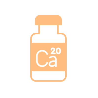 Queijo: uma das melhores fontes naturais de cálcio