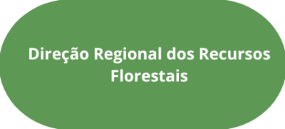 Direção Regional dos Recursos Florestais