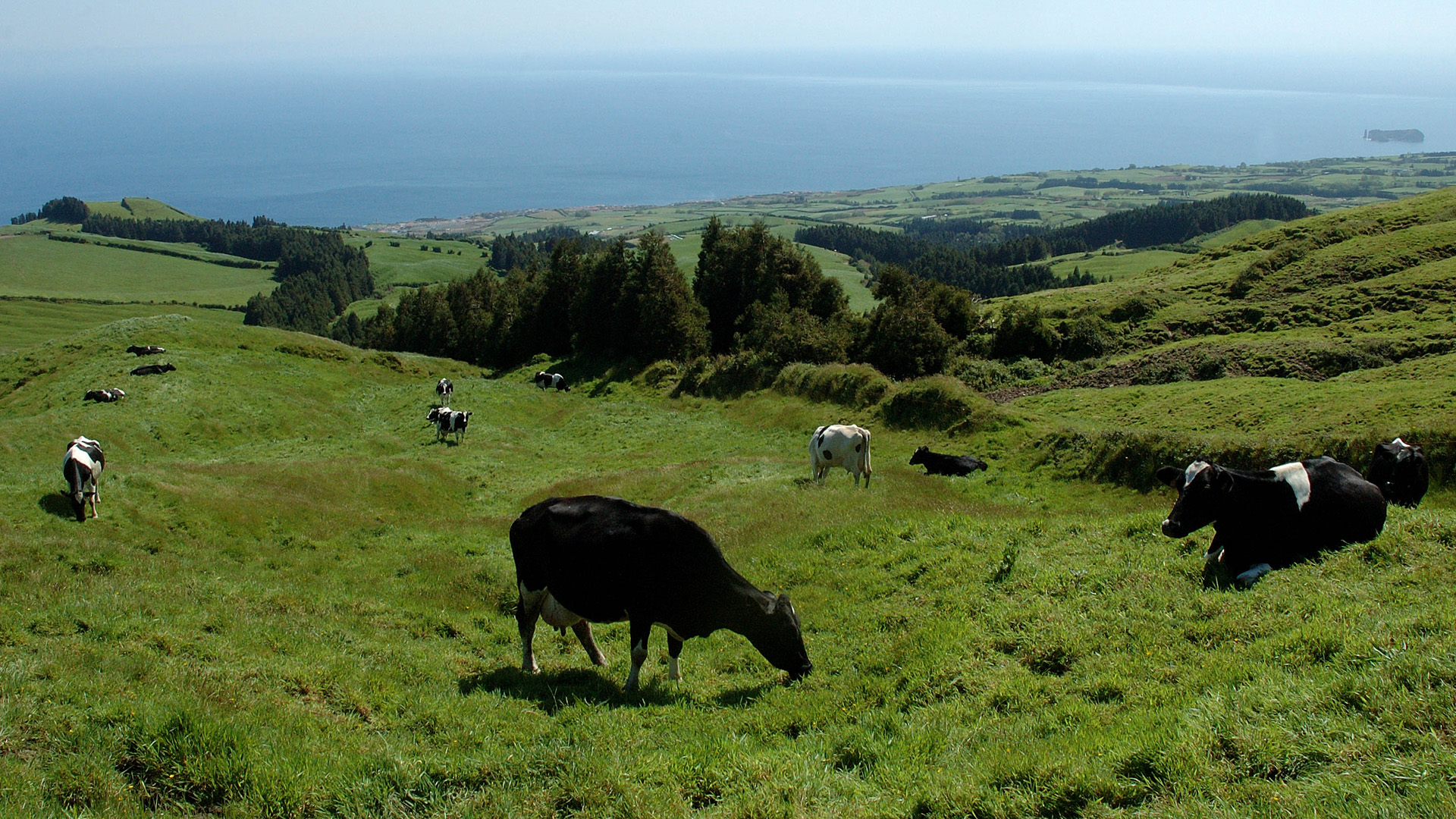 Agricultores dos Açores receberam hoje apoio excec...
