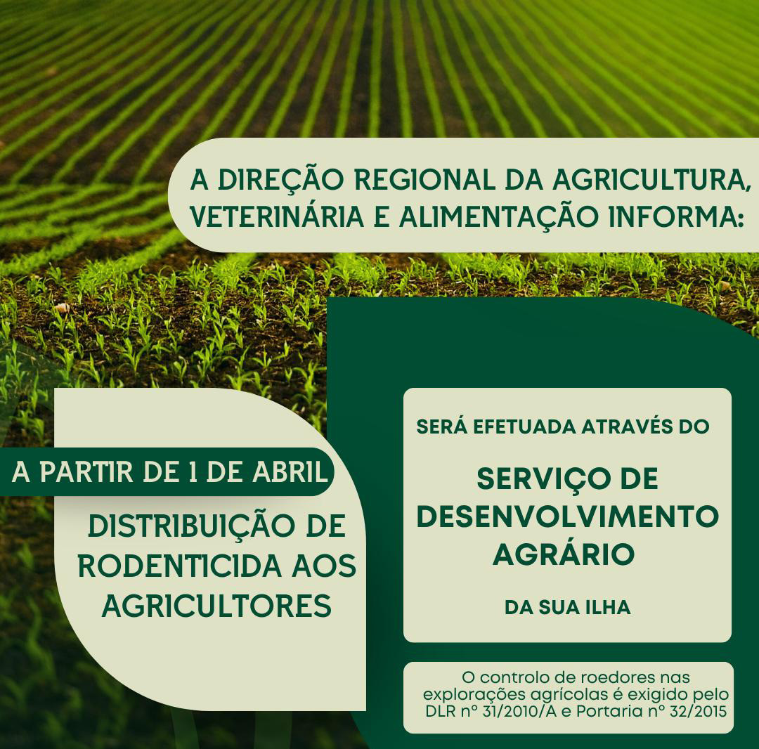 Governo dos Açores investe mais de 190 mil euros n...