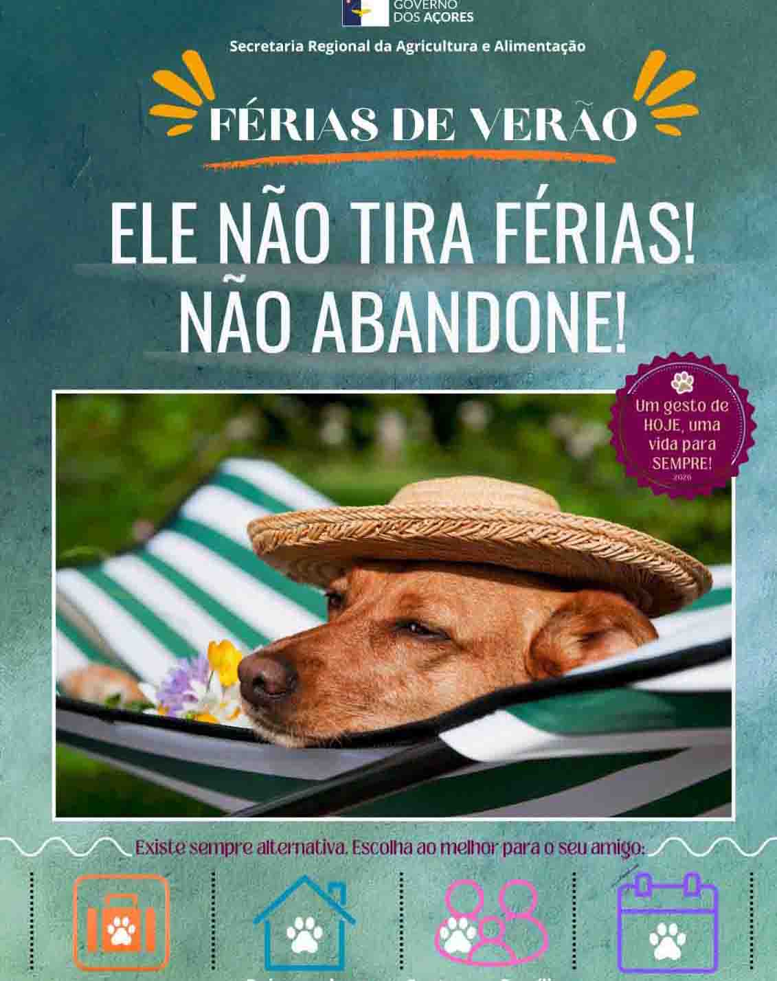 Governo dos Açores alerta contra o abandono de ani...